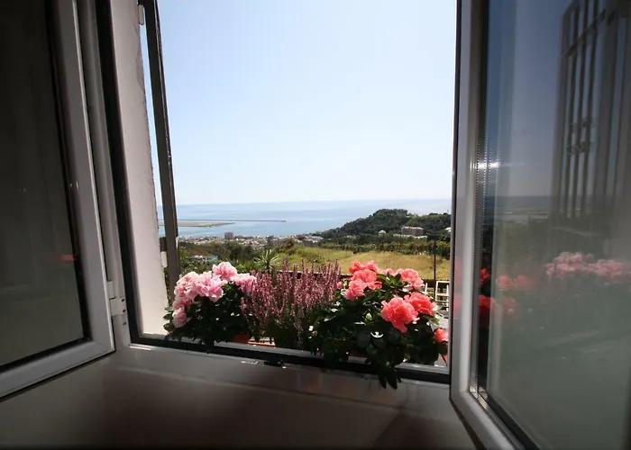 招待所 Le Maquis 佩利