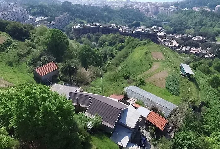 Le Maquis * Пельи