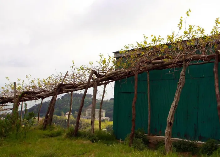 Pensión Le Maquis *